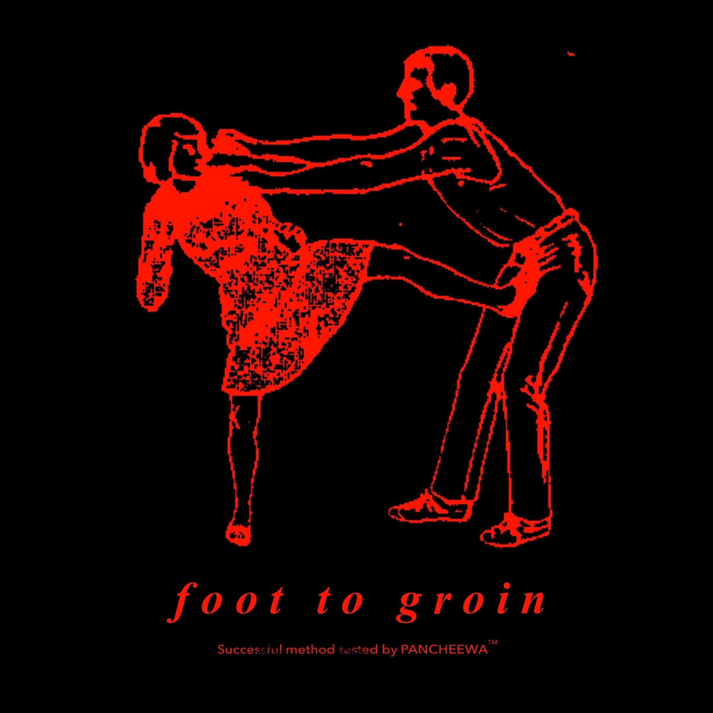 FOOT TO GROIN – PANCHEEWA